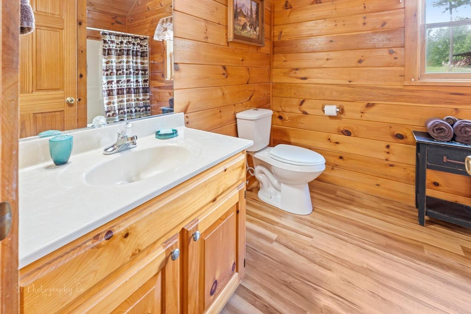 Hibernation Station Cabin Sevierville Extérieur photo